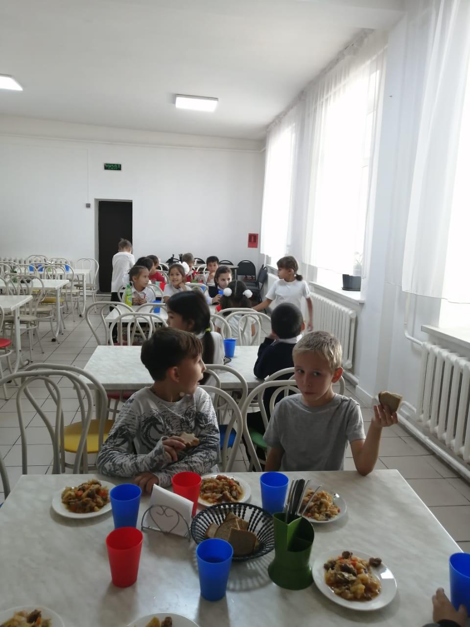 Тегін тамақтануды ұйымдастырудан көрініс