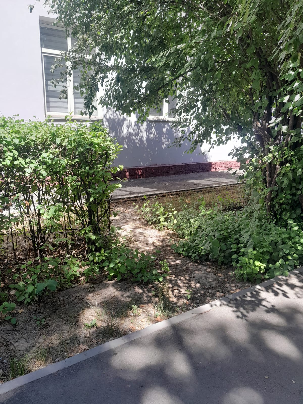 "Таза Қазақстан" акциясы негізінде мектеп аумағында территориясында сенбілік ұйымдастырылды.